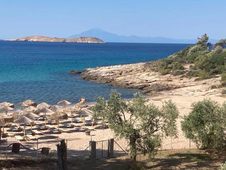 Apartamento Oliviera